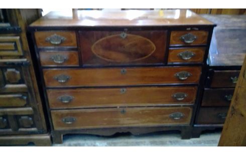 ANTIEKE LADENKAST MAHONIE