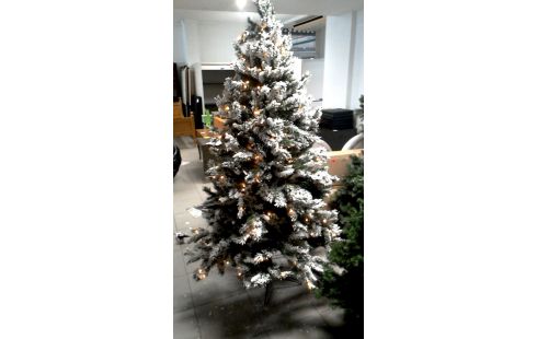 KERSTBOOM VERLICHT