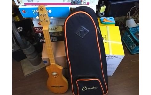 GUITARE SEAGULL AVEC HOUSSE (MANQUE 1 CORDE)