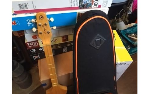 GUITARE SEAGULL AVEC HOUSSE (MANQUE 1 CORDE)