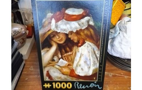 PUZZLE 2 PERSONNES 1000P