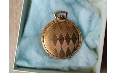 MONTRE A GOUSSET plaque or alb01