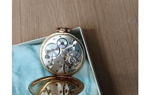 MONTRE A GOUSSET plaque or alb01