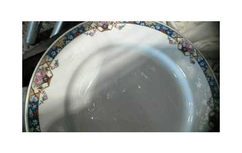 SERVICE DE TABLE SARREGUEMINE