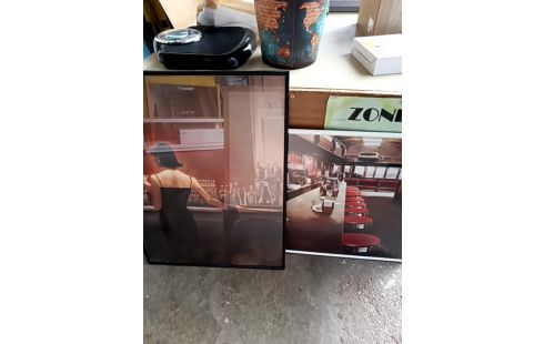 REPRODUCTION ENCADRÉE