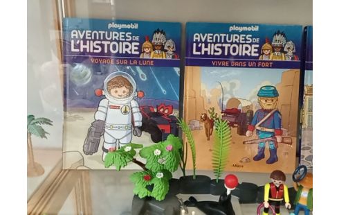 LIVRE PLAYMOBILE