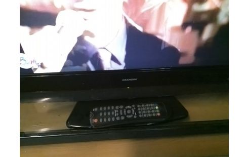 TELEVISEUR GRANDIN 55CM / NON TNT / AVEC TELECOMMANDE