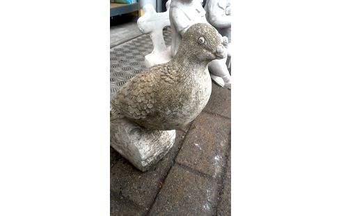 TUINBEELD CEMENT DUIF