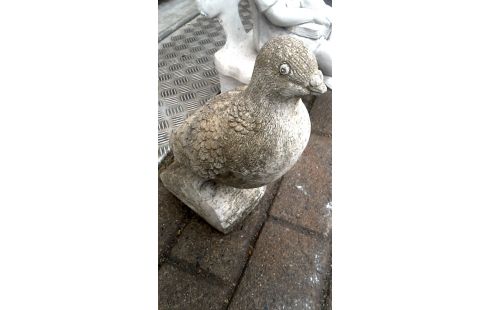 TUINBEELD CEMENT DUIF