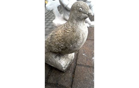 TUINBEELD CEMENT DUIF