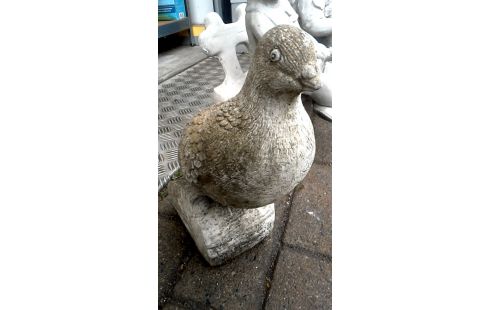 TUINBEELD CEMENT DUIF