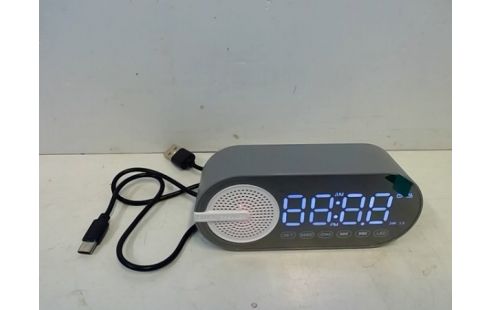 ENCEINTE BLUETOOTH PM GRISE