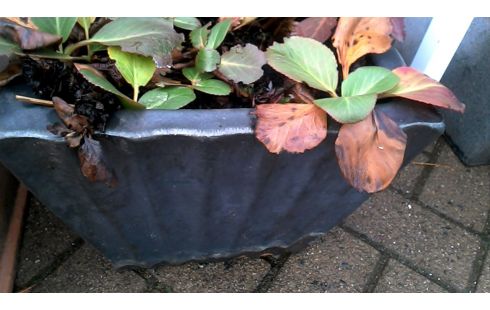 BLOEMPOT VIERKANT EMAIL KLEIN