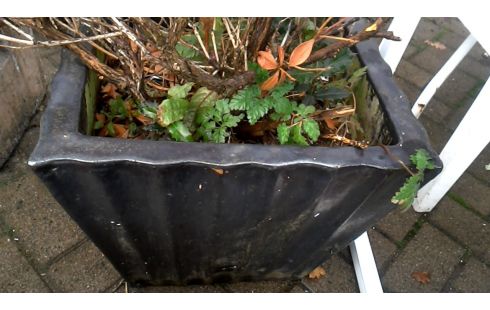 BLOEMPOT VIERKANT EMAIL GROOT