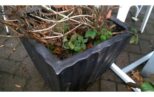 BLOEMPOT VIERKANT EMAIL GROOT