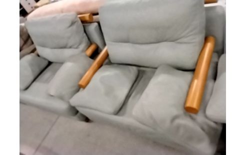 SALON CUIR VERT  DESIGN ET BOIS