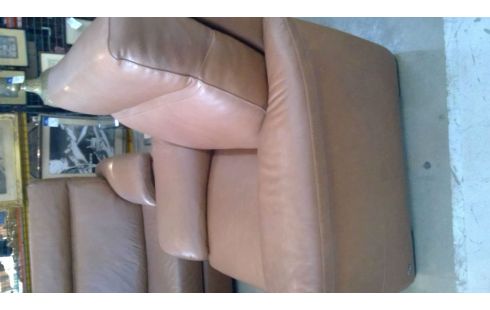 LEDEREN SALON  NATUZZI 1X3/2X1