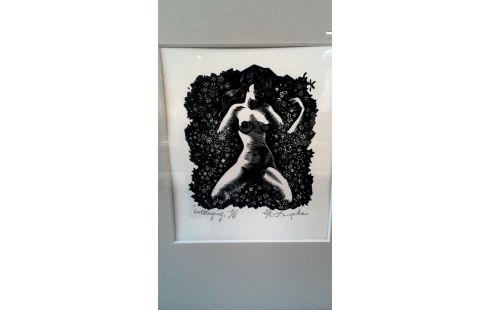 LITHO  LUYCKX  UITDAGING