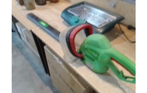 TAILLE HAIE FLORABEST 600W