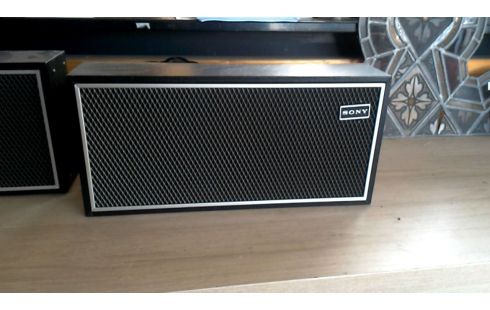 SONY HANGLUIDSPREKERS  RENOVATIEPROJECT