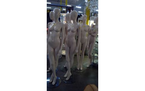 PASPOP PROFESIONEEL HANS BOODT