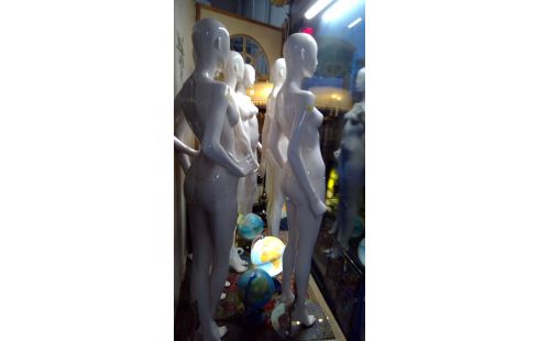 PASPOP PROFESIONEEL HANS BOODT