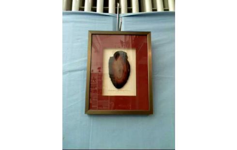 ACHAT IM RAHMEN BRASILIEN