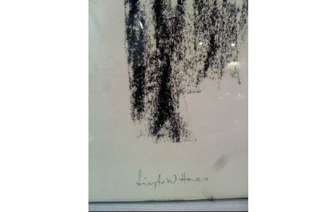 LITHOGRAPHIE I.R. AKT <S.HAAS>