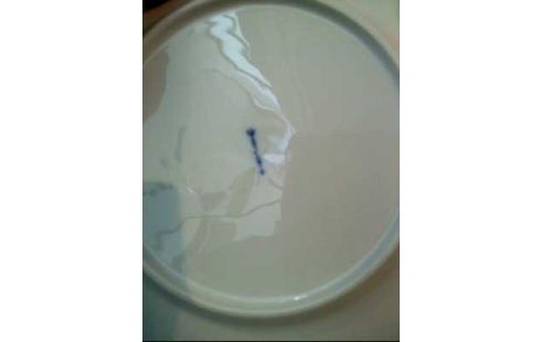 TELLER <KPM> WEIß KURLAND VERZIERT