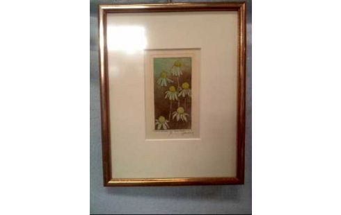 AQUARELL GEMÄLDESERIE I.R. <M.LEROUX> 3SET