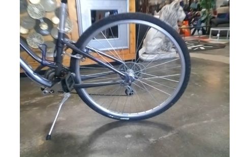 VELO GIANT GRIS + ACCESSOIRES EN CAISSE