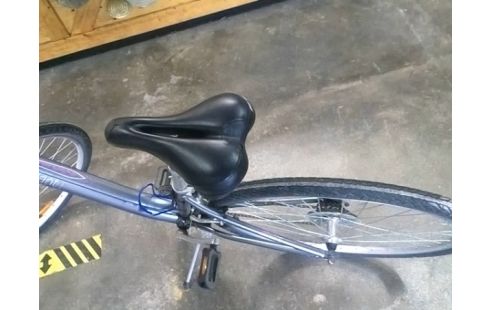 VELO GIANT GRIS + ACCESSOIRES EN CAISSE