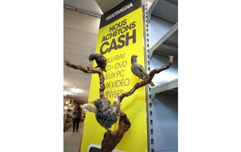 DECORATION ÉTOURNEAUX