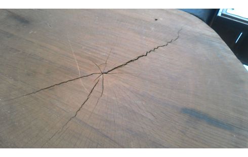 TAFEL BLAD BOOM SCHIJF