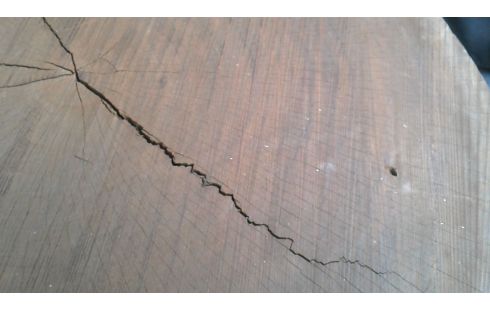 TAFEL BLAD BOOM SCHIJF