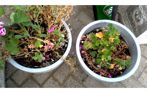 BLOEMPOT GRIJS PVC LOT