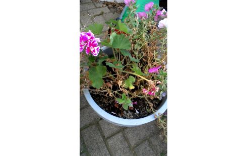 BLOEMPOT GRIJS PVC LOT