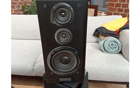 HAUT PARLEUR PIONEER LA PAIRE