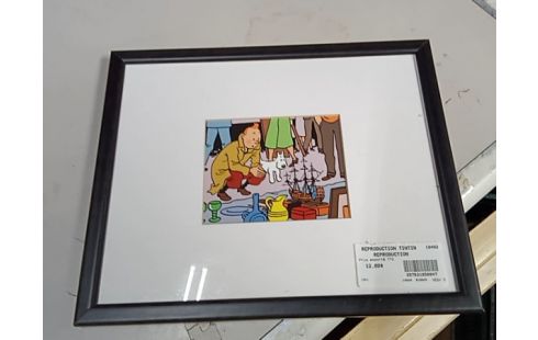 REPRODUCTION TINTIN