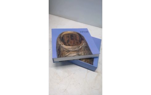 BOEK CESAR PIERRE BESTANY