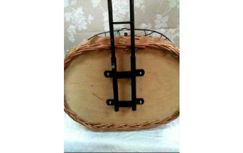 TIERFAHRRADKORB GEPOLSTERT RATTAN