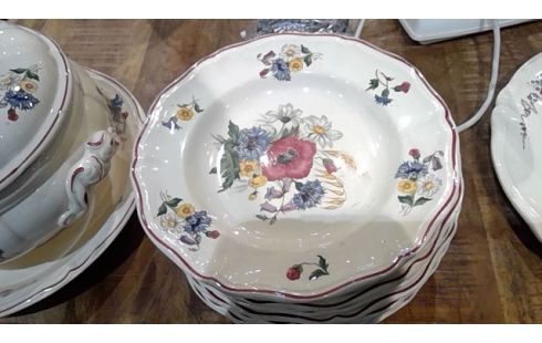 SOUPIERE ASSIETTES  SARREGUEMINES