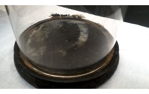 GLOBO 1 HIELO REDONDO