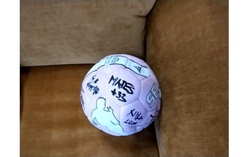 BALLE DE HAND SIGNEE ROSE