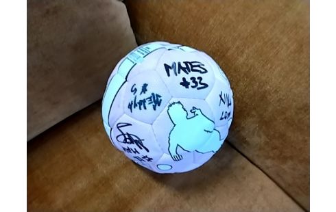 BALLE DE HAND SIGNEE ROSE