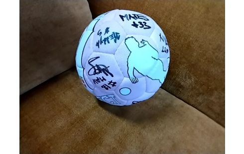 BALLE DE HAND SIGNEE ROSE