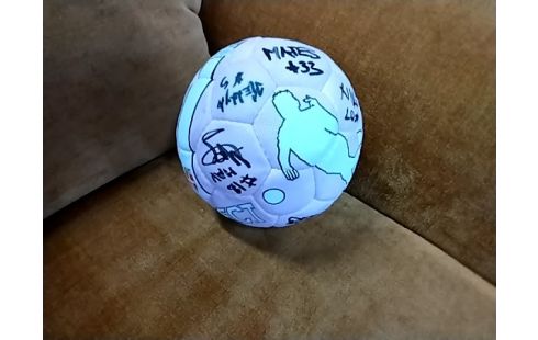 BALLE DE HAND SIGNEE ROSE