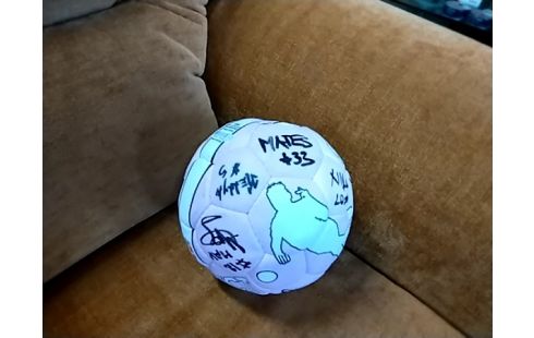 BALLE DE HAND SIGNEE ROSE