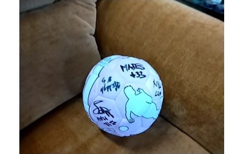 BALLE DE HAND SIGNEE ROSE