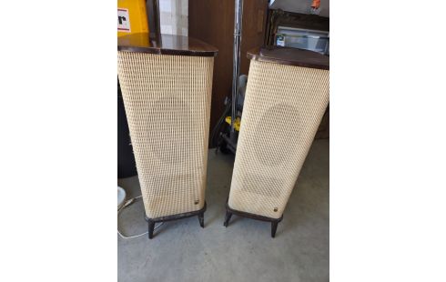 ENCEINTE VINTAGE ANNÉE 50 LA PAIRE